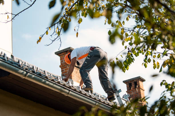 Asphalt Shingles Roofing in Minonk, IL