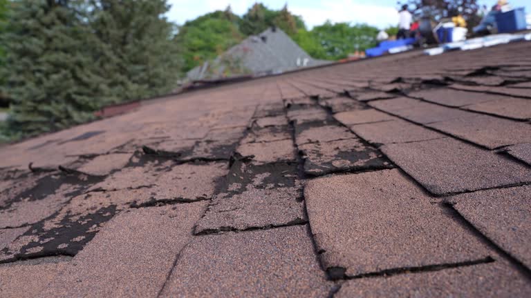 Best Green or Eco-Friendly Roofing Solutions  in Minonk, IL
