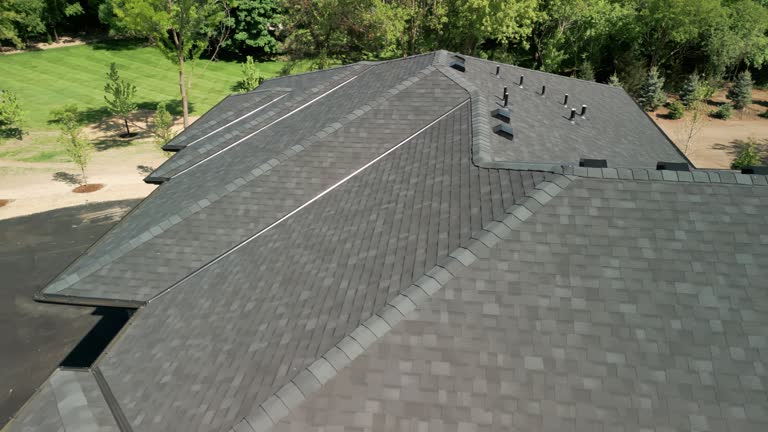 Best Roof Moss and Algae Removal  in Minonk, IL