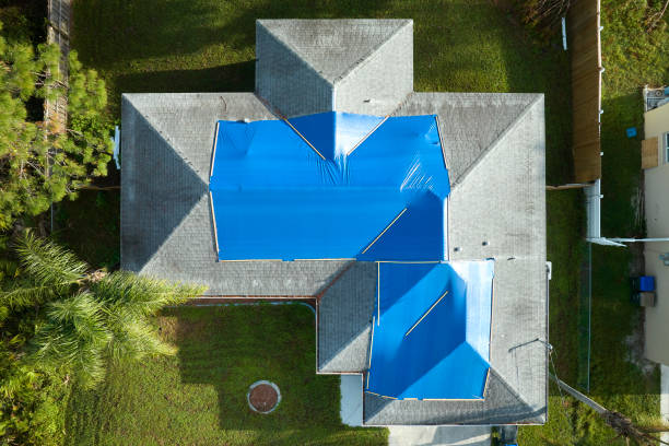 Best Asphalt Shingles Roofing  in Minonk, IL