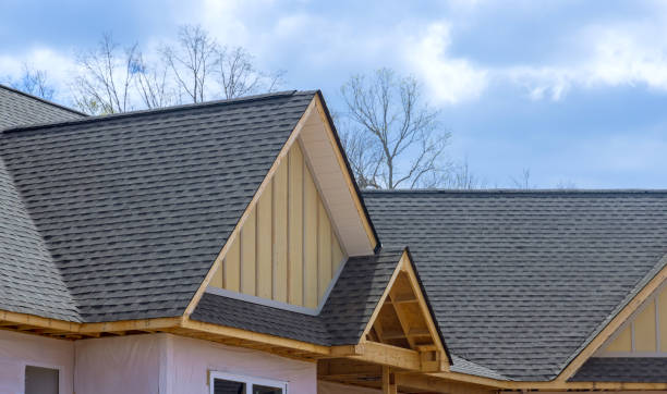 Best Solar Panel Roofing Installation  in Minonk, IL