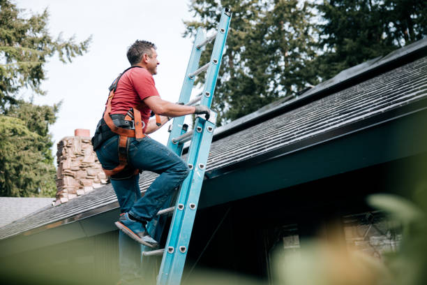 Best Rubber Roofing (EPDM, TPO)  in Minonk, IL