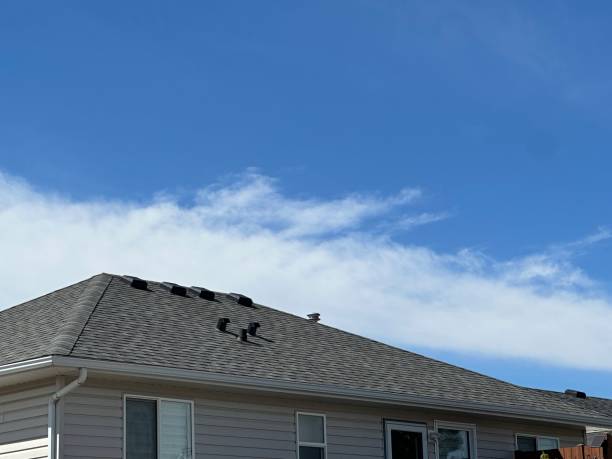 Best Roofing for New Construction  in Minonk, IL