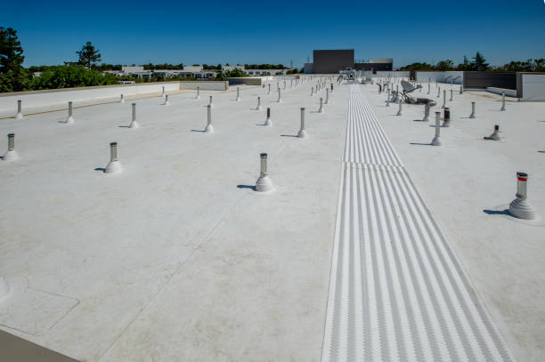 Best Skylight Installation and Repair  in Minonk, IL